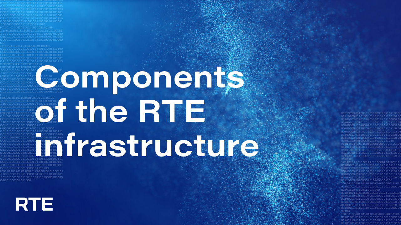 Components of the RTE infrastructure